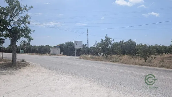 Spot image