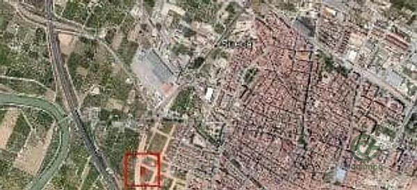 Spot image