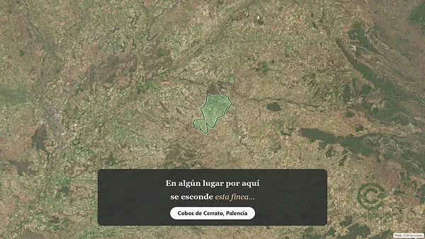 Spot image