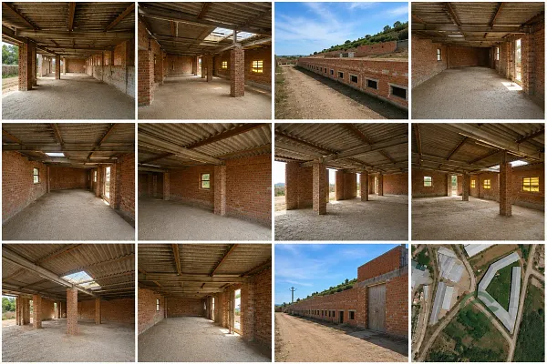 Spot image
