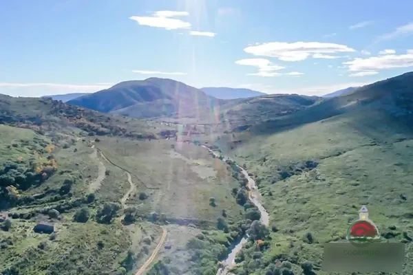 Spot image