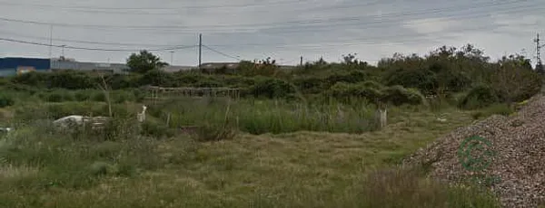 Spot image