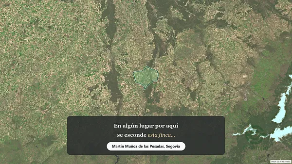Spot image