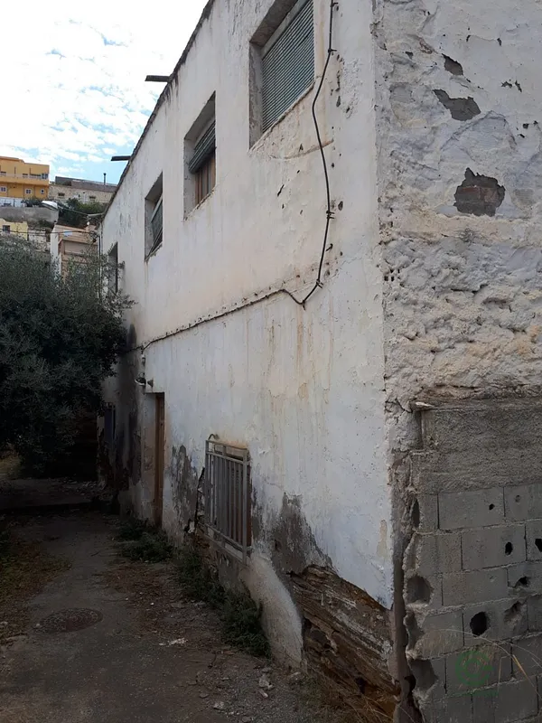 Spot image