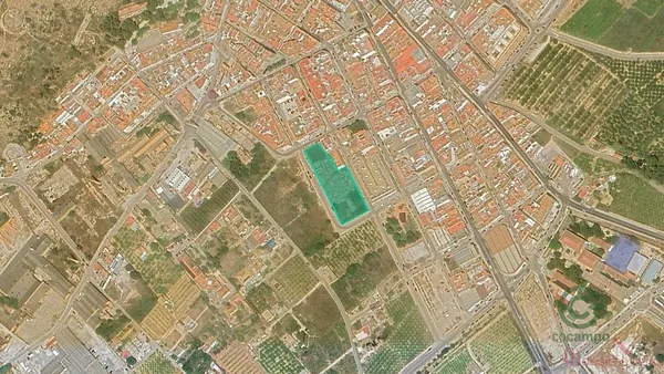 Spot image