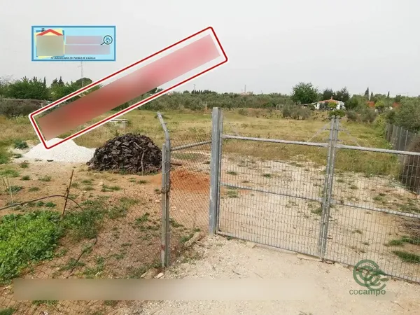 Spot image