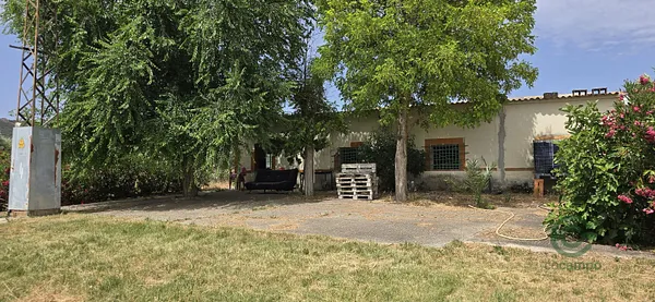 Spot image