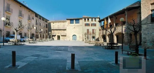 Spot image