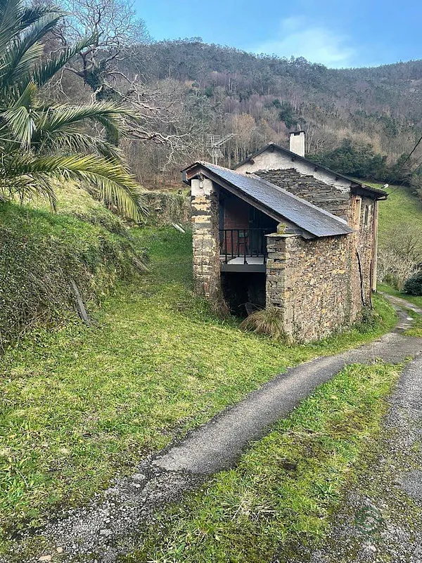 Finca rústica de 4,85 ha en venta en Coana, Asturias