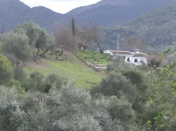 Spot image