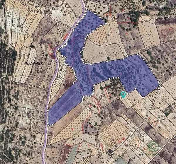 Spot image