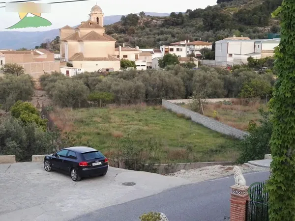 Spot image
