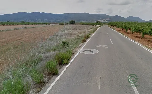 Spot image