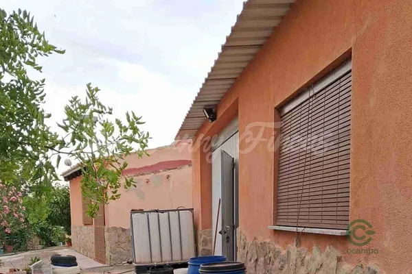 Spot image
