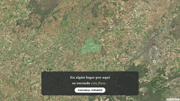 Spot image