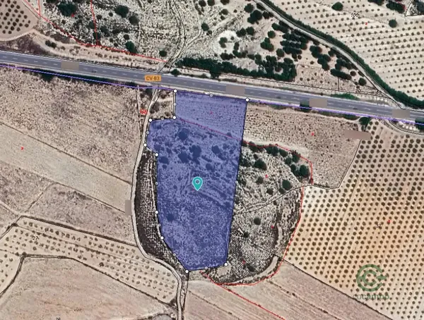 Spot image