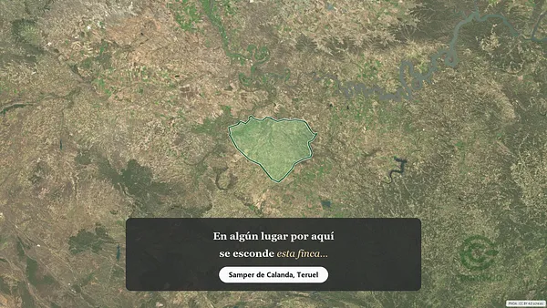 Spot image