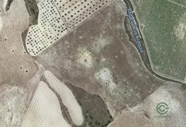 Finca agrícola de 5,9 ha en venta en Cieza, Murcia