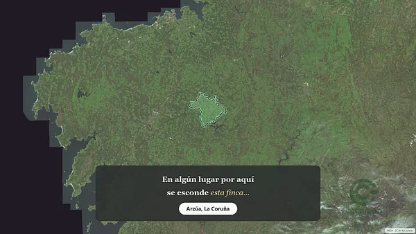 Spot image