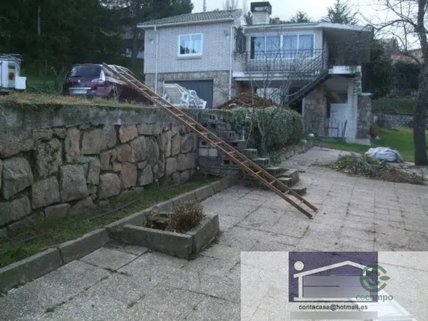 Spot image