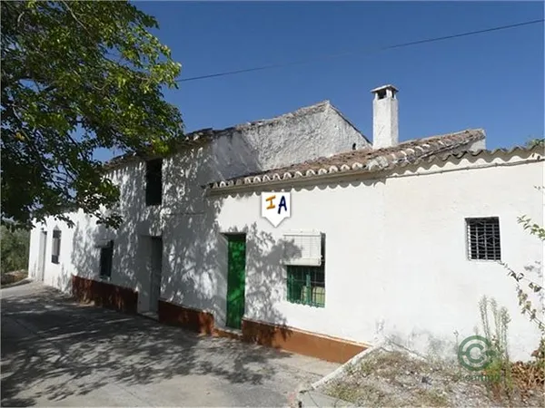 Spot image
