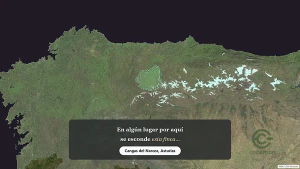 Spot image