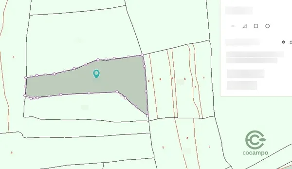 Spot image