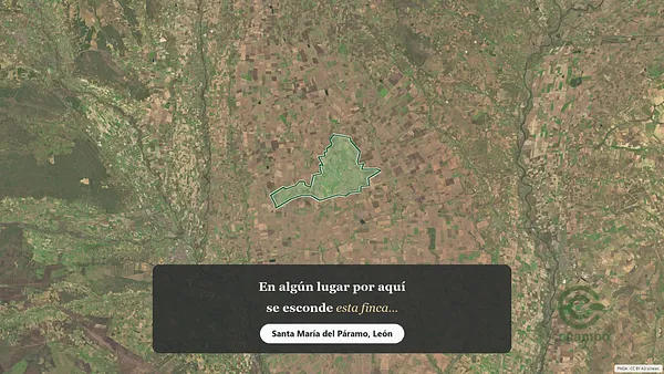 Spot image