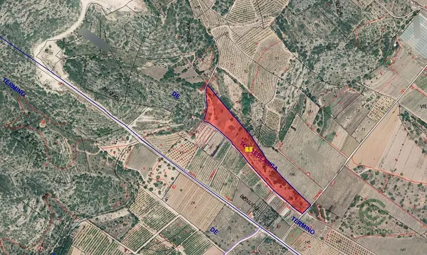 Spot image