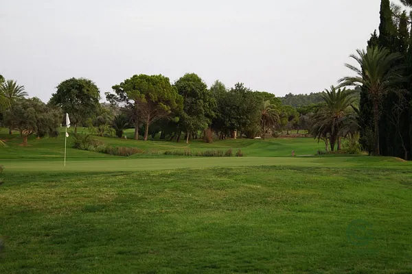 Spot image