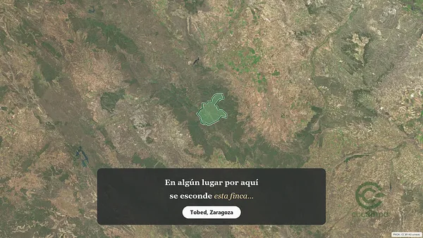 Spot image