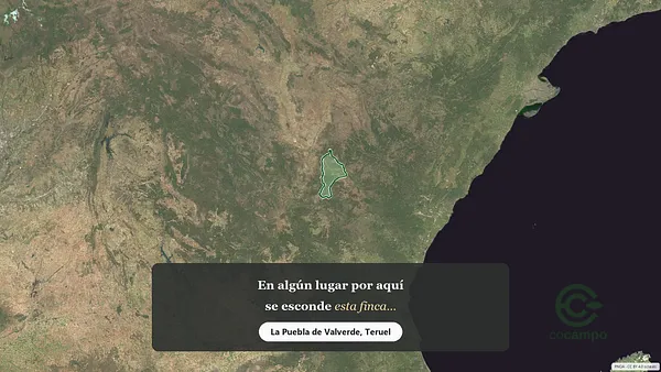 Spot image