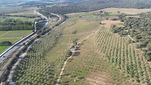 Finca agrícola de 15 ha en venta en Ronda, Malaga