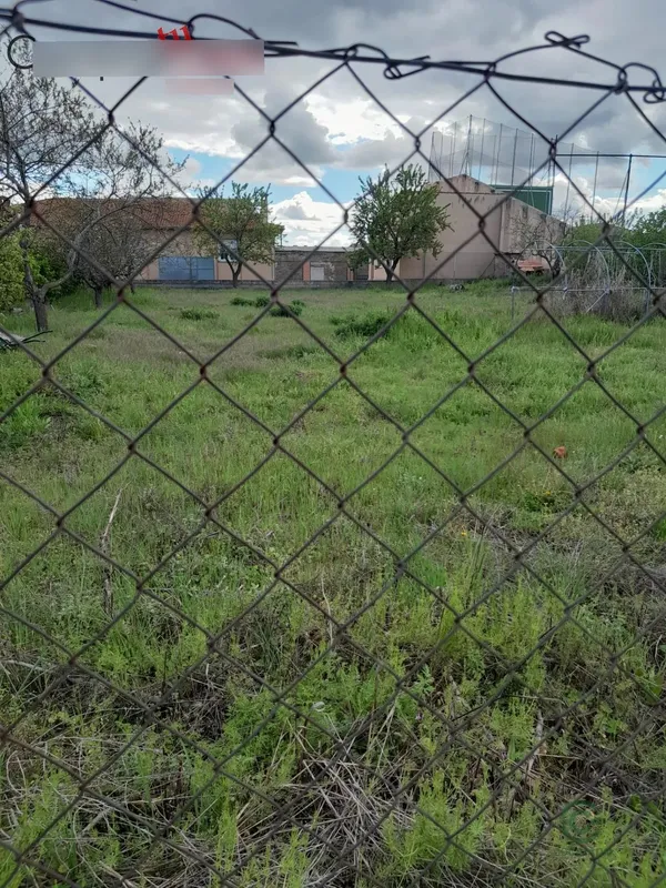Spot image