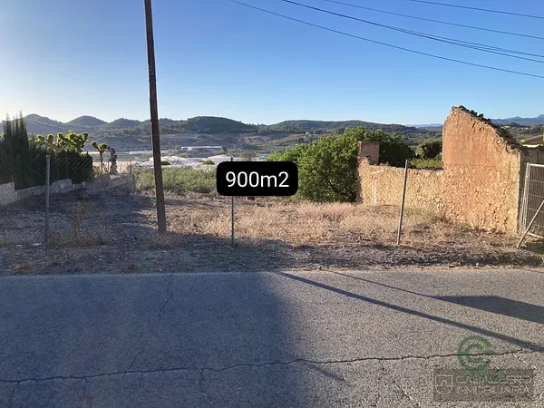 Spot image