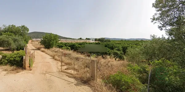 Spot image