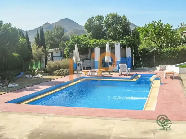 Spot image