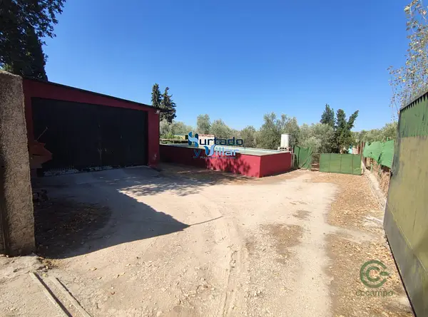 Spot image