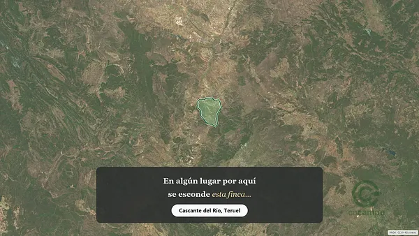 Spot image