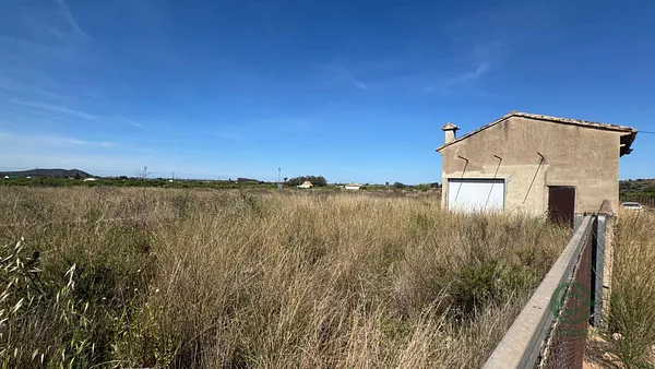 Spot image