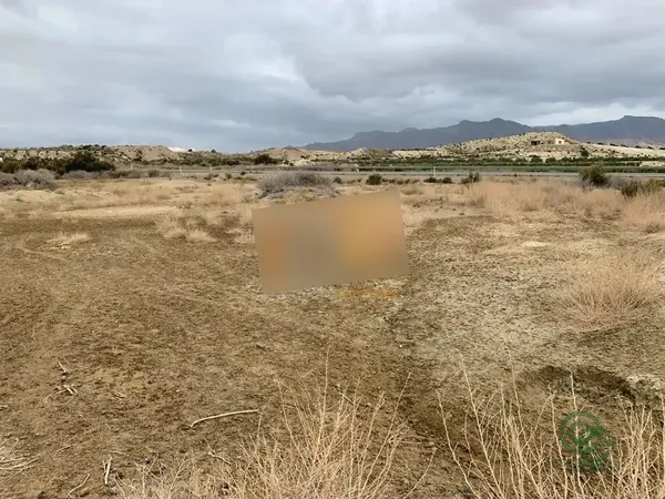Spot image