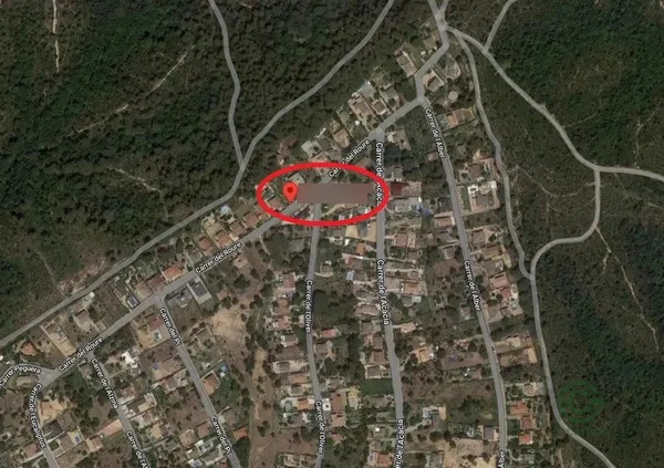 Spot image