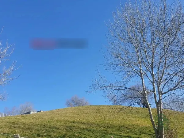 Spot image