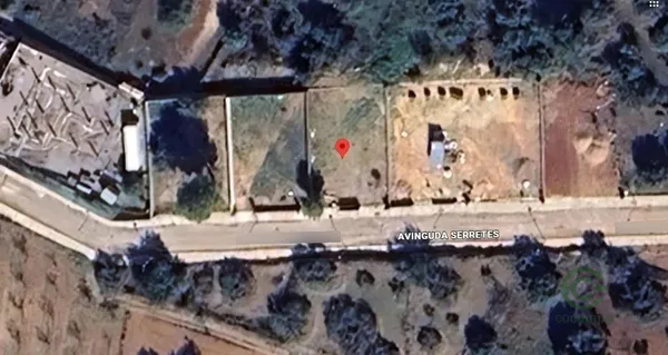 Spot image