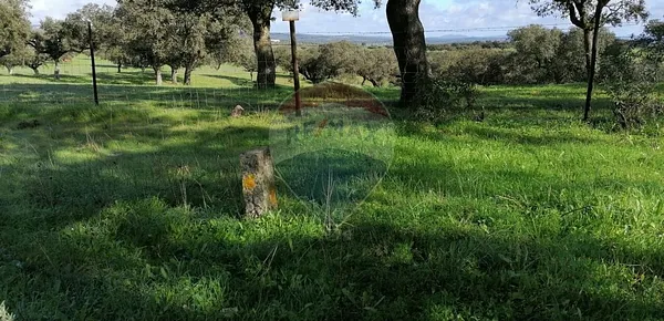 Fazenda rustica de 1,8 ha para venda em Évora