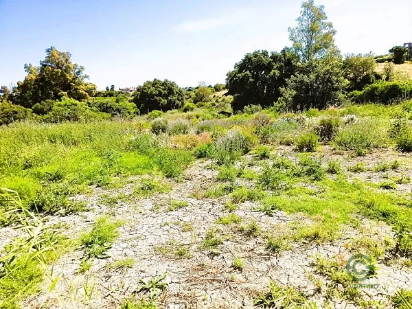 Finca rústica de 0,2 ha en venta en Alhaurín el grande, Malaga