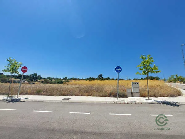 Spot image