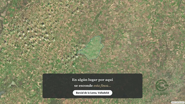 Spot image