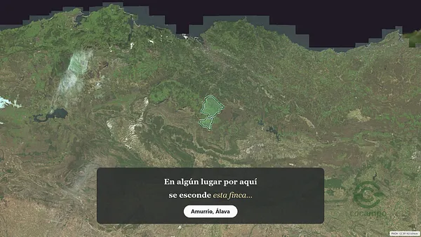 Spot image