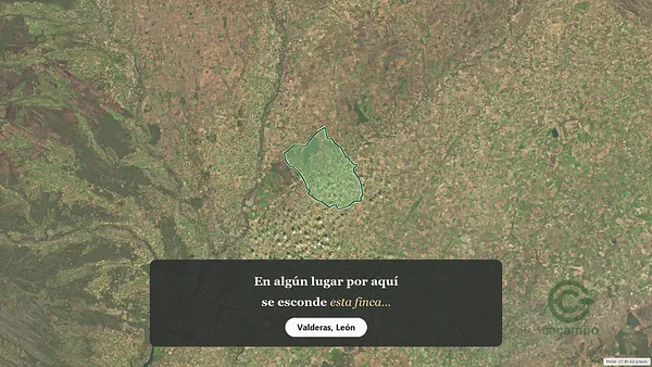 Spot image